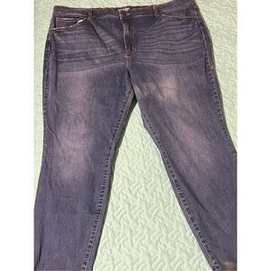 Women’s size 24W Terra & Sky Blue Jeans